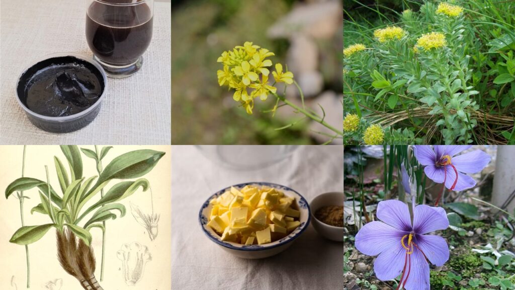 Colaj cu ingrediente tradiționale din Himalaya pentru îngrijirea pielii și părului: shilajit, muștar, rhodiola, orhidee, unt clarifiat ghee și șofran.