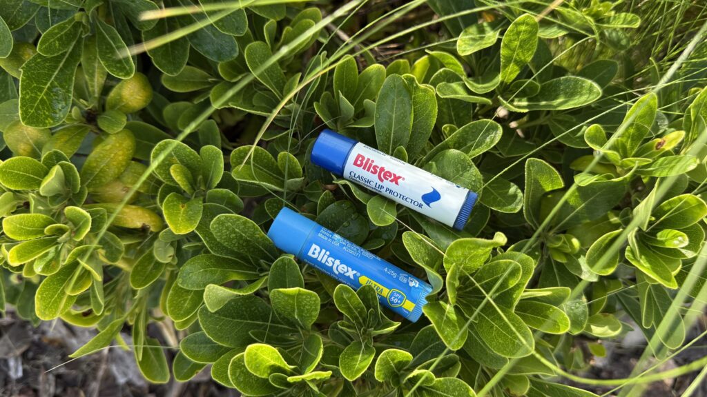 Două balsamuri de buze Blistex – Classic Lip Protector și Ultra SPF 50+ – fotografiate pe fundal natural cu frunze verzi, pentru hidratarea și protecția buzelor iarna.