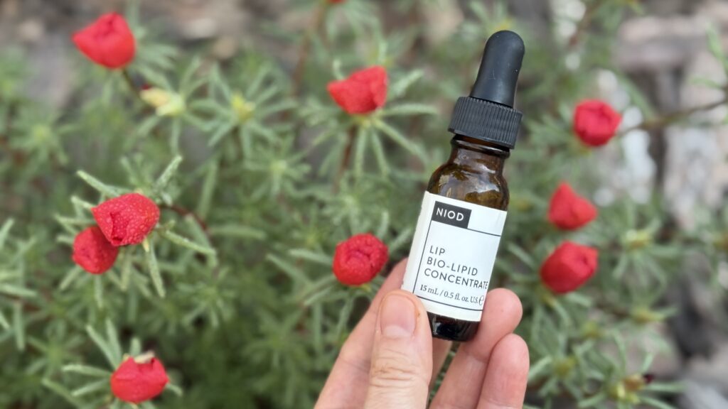 Serum NIOD Lip Bio-Lipid Concentrate pentru volum și hidratarea buzelor, fotografiat pe fundal natural cu flori roșii.